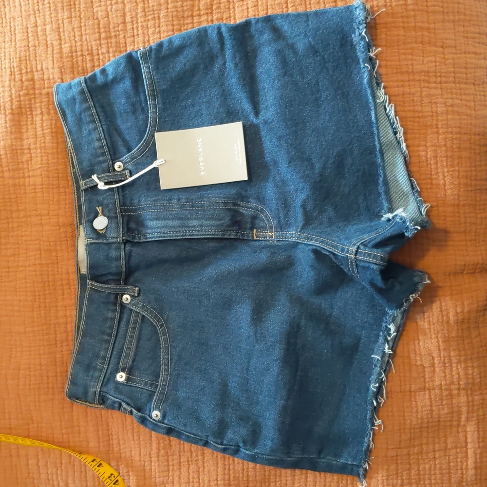 Everlane Way High Denim Short